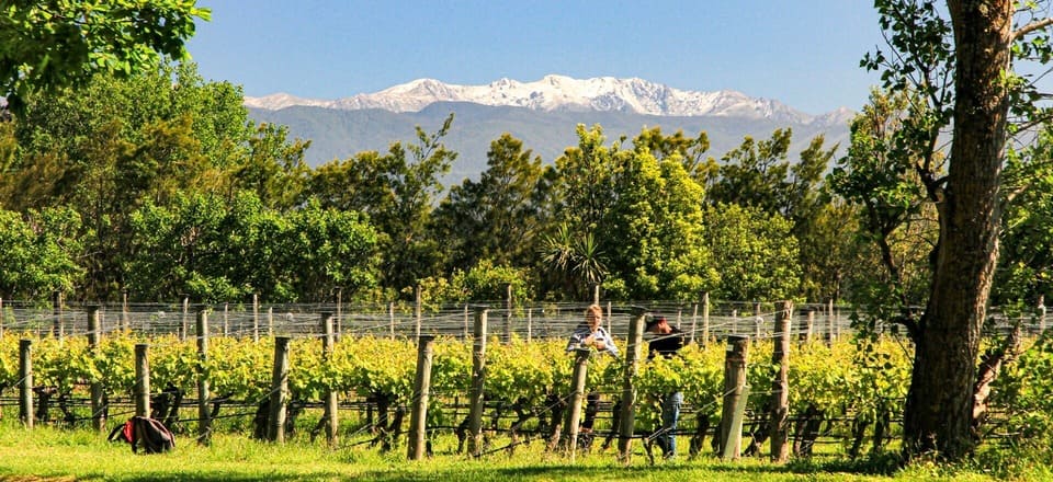 Martinborough and Wairarapa: Boutique Excellence in Pinot Country