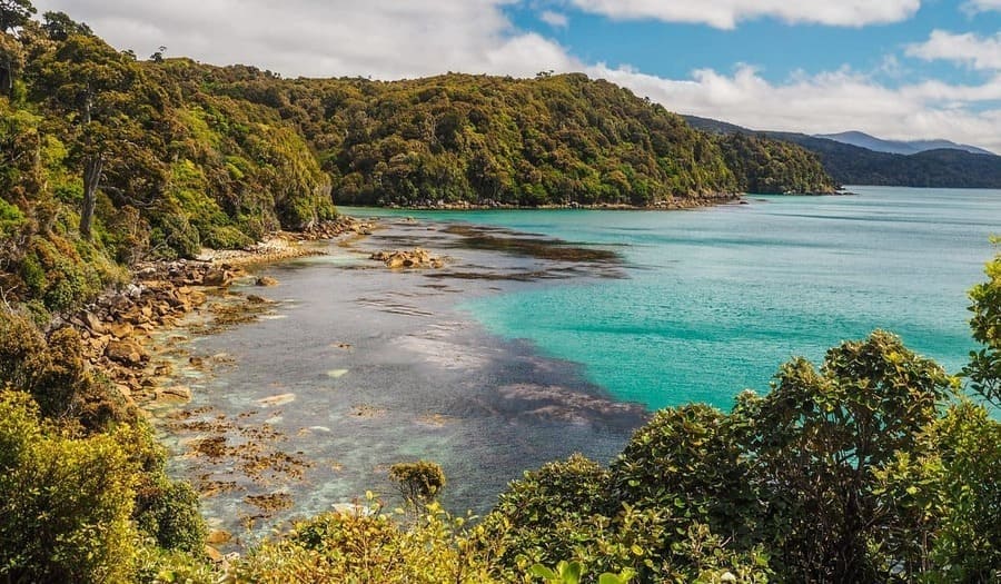 Best Wildlife & Nature Encounters in New Zealand